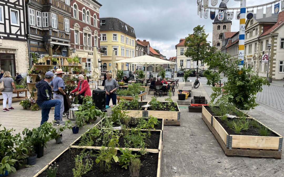 Königslutter am Elm: Stadtstipendien